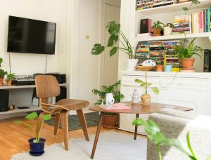 lägenhet stol, tv, bokhylla och en växt